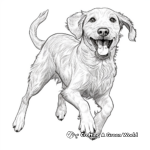 Energetic Irish Wolfhound Coloring Pages 2