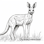 Engaging Eastern Grey Kangaroo Coloring Pages 1