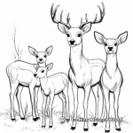 Enjoyable Elk Family Coloring Pages 3