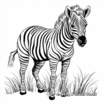 Exotic Albino Zebra Coloring Pages 1