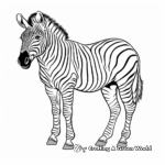 Exotic Albino Zebra Coloring Pages 3