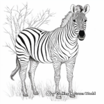 Exotic Albino Zebra Coloring Pages 4