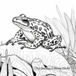 Exotic Amazon Rainforest Poison Dart Frog Coloring Pages 1