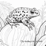 Exotic Amazon Rainforest Poison Dart Frog Coloring Pages 2