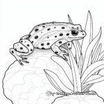 Exotic Amazon Rainforest Poison Dart Frog Coloring Pages 3