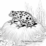 Exotic Amazon Rainforest Poison Dart Frog Coloring Pages 4