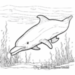 Exotic Amazon River Dolphin Coloring Pages 4