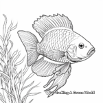 Exotic Fish Species Coloring Pages 1