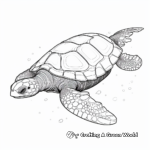 Exotic Leatherback Turtle Coloring Pages 1