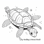 Exotic Leatherback Turtle Coloring Pages 2