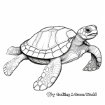 Exotic Leatherback Turtle Coloring Pages 3