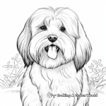 Exotic Lhasa Apso Dog Coloring Pages 4