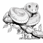 Exotic Madagascar Tree Boa Coloring Pages 1