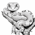 Exotic Madagascar Tree Boa Coloring Pages 2
