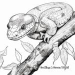 Exotic Madagascar Tree Boa Coloring Pages 4