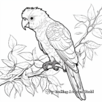 Exotic Parrot Jungle Animal Coloring Pages 3