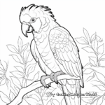 Exotic Parrot Jungle Animal Coloring Pages 4