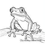 Exotic Red Eyed Tree Frog Coloring Pages 1
