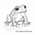 Exotic Red Eyed Tree Frog Coloring Pages 3