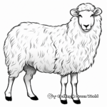 Exotic Shetland Sheep Coloring Pages 1