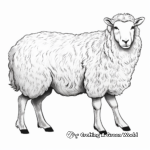 Exotic Shetland Sheep Coloring Pages 2