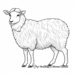 Exotic Shetland Sheep Coloring Pages 3