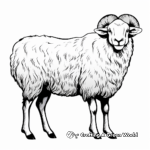 Exotic Shetland Sheep Coloring Pages 4