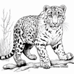 Exotic Snow Leopard Coloring Pages 1