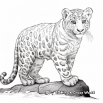 Exotic Snow Leopard Coloring Pages 3