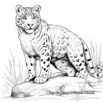 Exotic Snow Leopard Coloring Pages 4