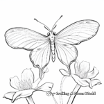 Exotic Variety Luna Moth Coloring Pages 1