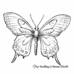 Exotic Variety Luna Moth Coloring Pages 2