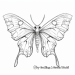 Exotic Variety Luna Moth Coloring Pages 3