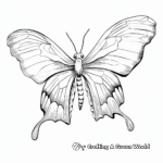 Exotic Variety Luna Moth Coloring Pages 4