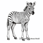 Exotic Zebra Foal Coloring Pages for Africa Wildlife Fans 1