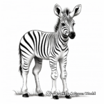 Exotic Zebra Foal Coloring Pages for Africa Wildlife Fans 3