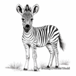 Exotic Zebra Foal Coloring Pages for Africa Wildlife Fans 4
