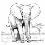 Exquisite African Elephant Coloring Pages 1
