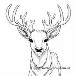 Exquisite Elk Antlers Coloring Pages 2