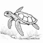 Exquisite Hawksbill Turtle Coloring Pages 1