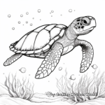 Exquisite Hawksbill Turtle Coloring Pages 2