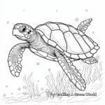 Exquisite Hawksbill Turtle Coloring Pages 3