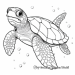 Exquisite Hawksbill Turtle Coloring Pages 4