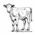 Exquisite Holstein Cow Coloring Pages 4