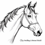 Exquisite Lipizzaner Horse Head Coloring Pages 1