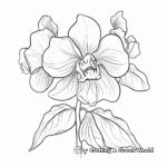 Exquisite Orchid Flower Coloring Pages 2