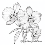 Exquisite Orchid Flower Coloring Pages 3