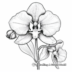 Exquisite Orchid Flower Coloring Pages 4