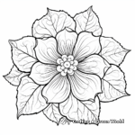 Exquisite Poinsettia Coloring Pages For Adults 1