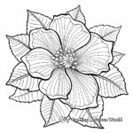 Exquisite Poinsettia Coloring Pages For Adults 4